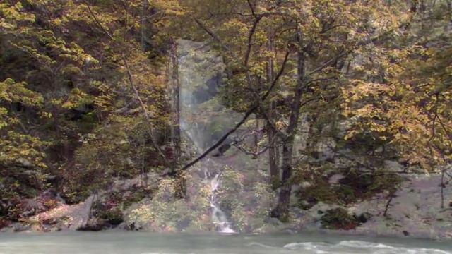 Как лань желает к потокам воды