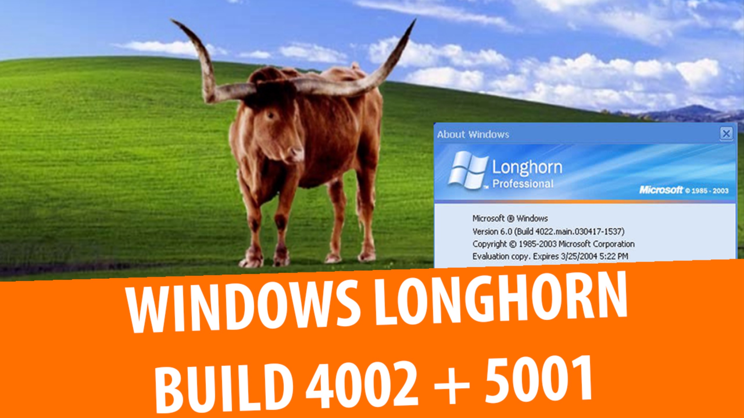 Обзор Windows Longhorn build 4002, 4005, 4081 и 5001