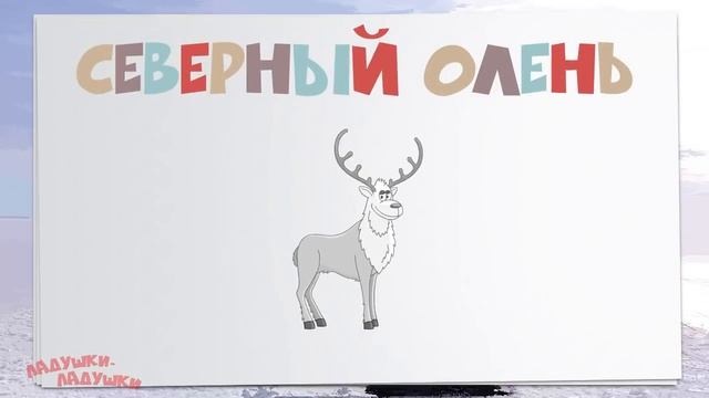ПОЛЯРНЫЕ ЖИВОТНЫЕ! Учим животных - развивающие мультики для детей