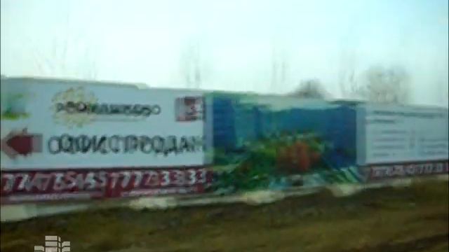 Тайный покупатель - ЖК «Ромашково»