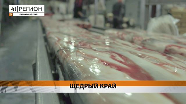 ПОЧТИ ТРИ ТЫСЯЧИ ТОНН МОРЕПРОДУКТОВ ОТПРАВИЛИ С КАМЧАТКИ ЗА НЕДЕЛЮ • НОВОСТИ КАМЧАТКИ