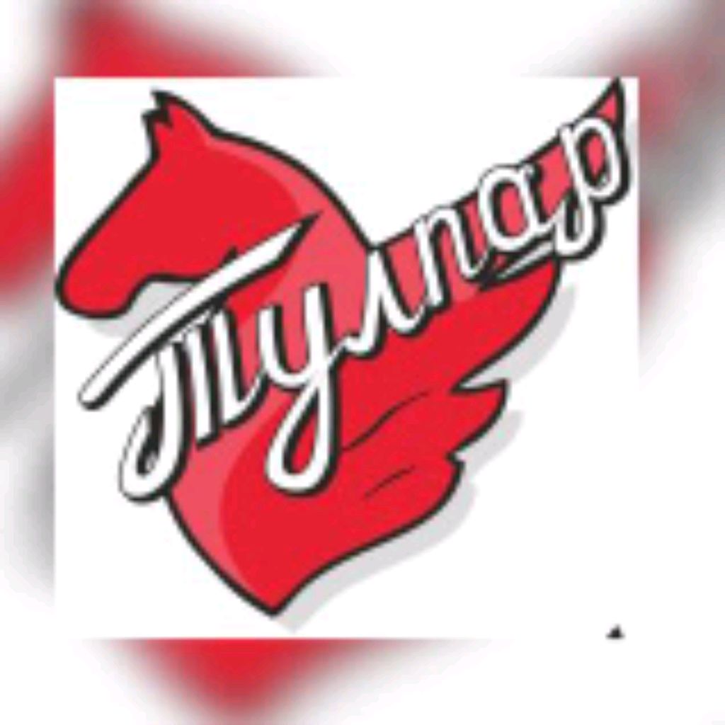 Тулпар