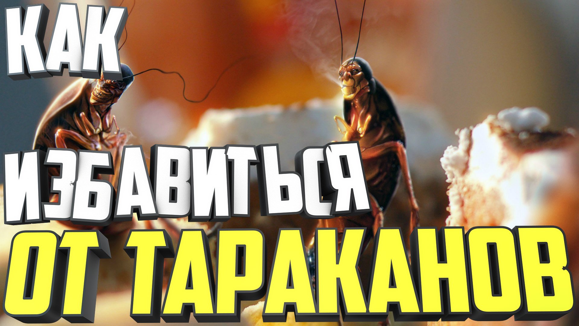 Народный заговор от тараканов: как избавиться от насекомых с помощью ритуала