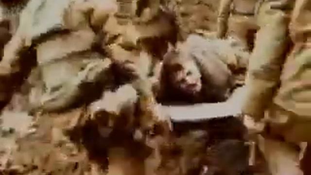 Прошу Вас просто посмотреть этот клип  Молча, без слов