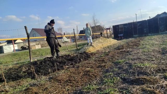 Переезд в Россию/Гости из Казахстана/Муж боится, найду замену/Убираем клубнику/Мечта Даджет W100