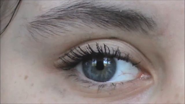 Maybelline Great Lash lots of lashes | mascara demo