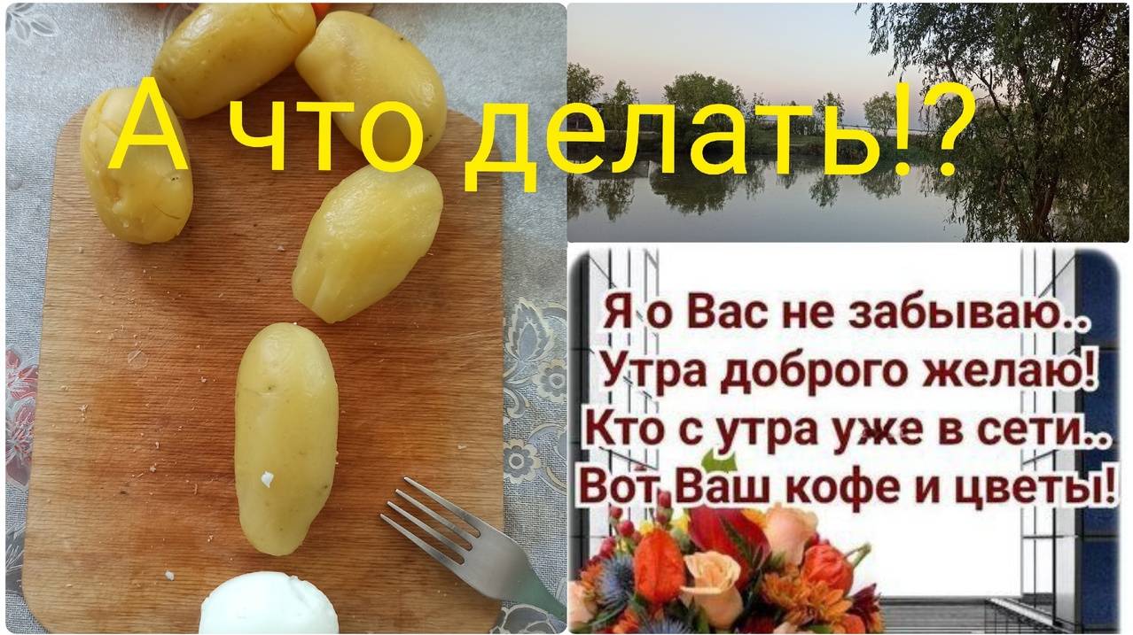 Что мне делать сегодня? Движение это жизнь/Планы на завтра.