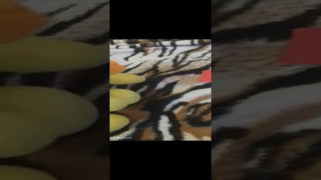 агент джек3серия