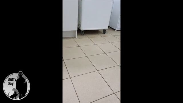 Виланель у нефролога