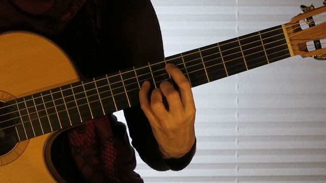"Milonga d´Autunno" by Marianne Vedral, guitar