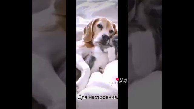 1000016314.mp4
