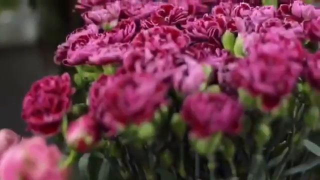 Мы знаем как доставить счастье