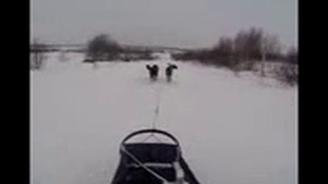 Обгон справа запрещён!