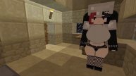 Jenny mod gameplay