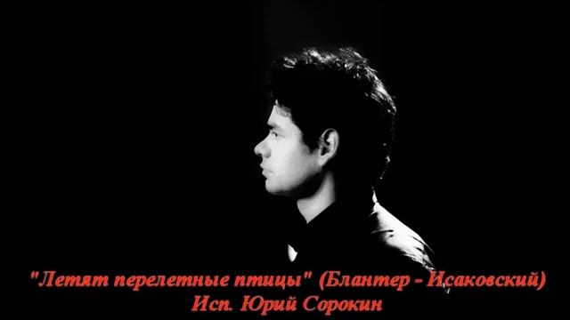 Юрий Сорокин - Летят перелетные птицы. Yuri Sorokin-Flying migratory birds.