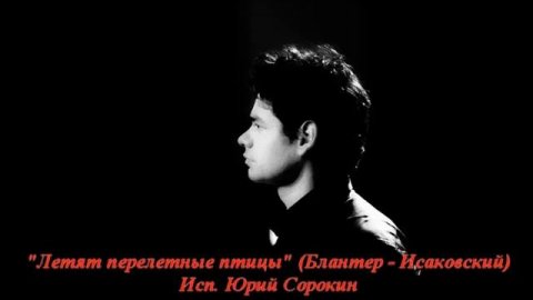 Юрий Сорокин - Летят перелетные птицы. Yuri Sorokin-Flying migratory birds.