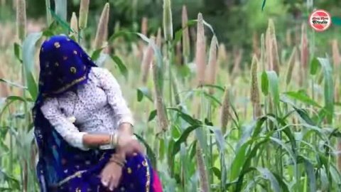 New meena git status 2019