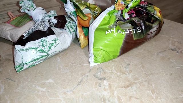 АВОКАДО НЕ РАСТЕТ. Реанимация АВОКАДО ИЗ КОСТОЧКИ В ДОМАШНИХ УСЛОВИЯХ. ЧАСТЬ 3