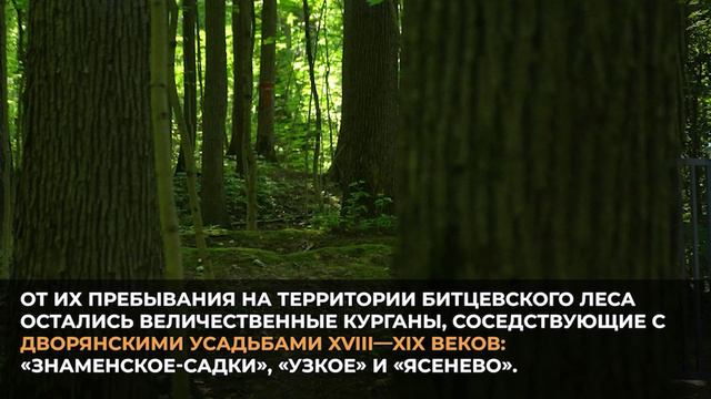 «Москва — с заботой об экологии»