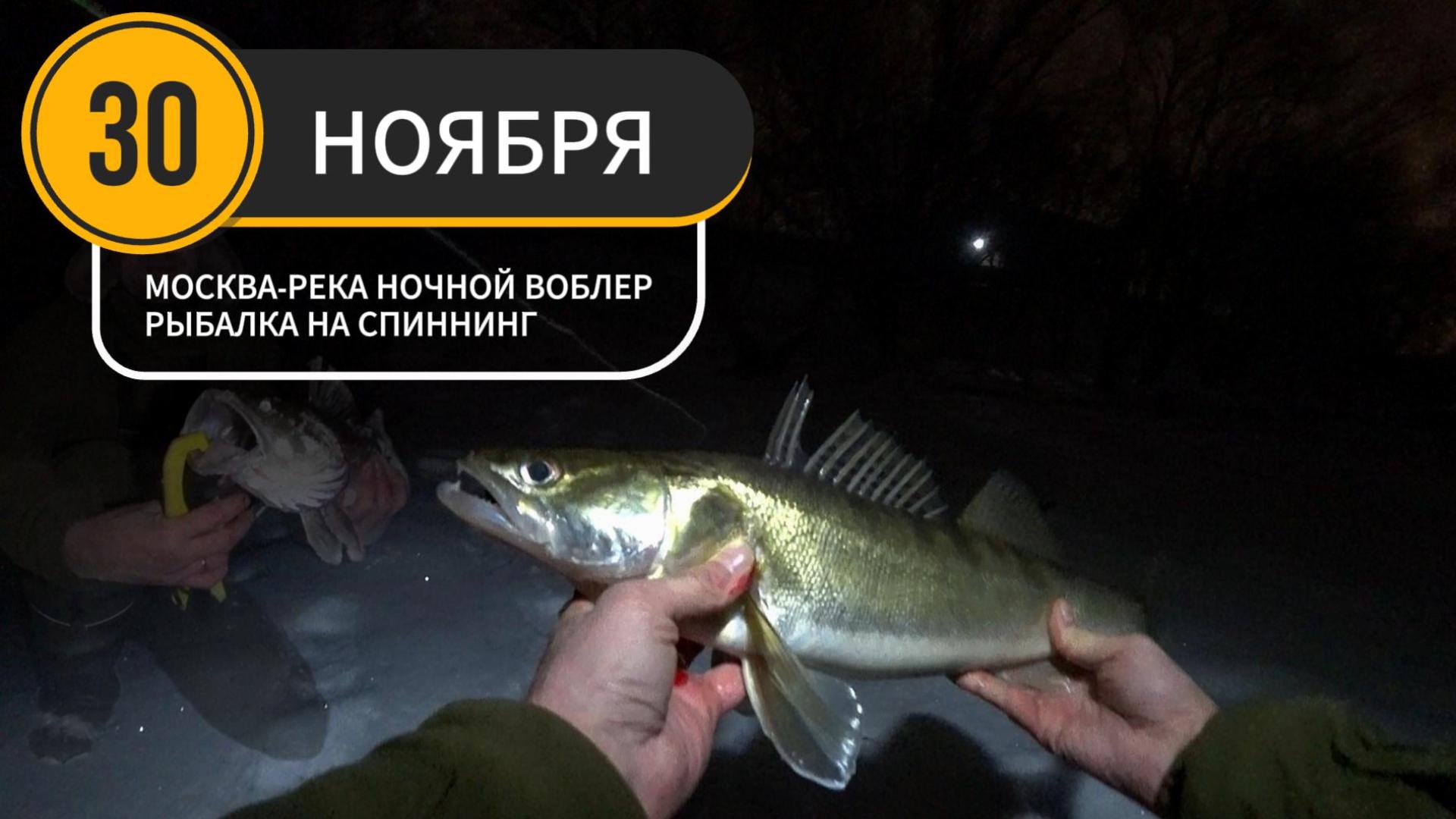 На рыбалке СУДАК КЛЮЁТ В ЧАС ВОЛКА! Москва-река ❄Зимний спиннинг на воблеры