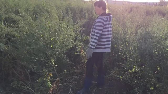 ОГОРОД!       СТРОЯНКА!    всего по немногу