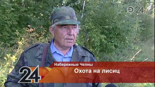 В охотничьих хозяйствах республики созданы бригады по отстрелу лисиц