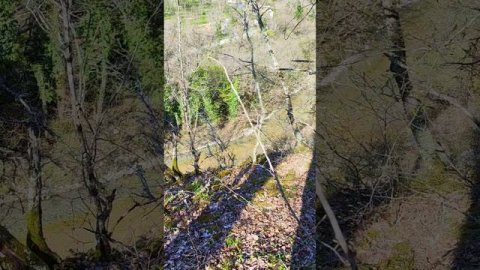 Река Жане #геленджик #возрождение #природа #поход #пвд #весна
