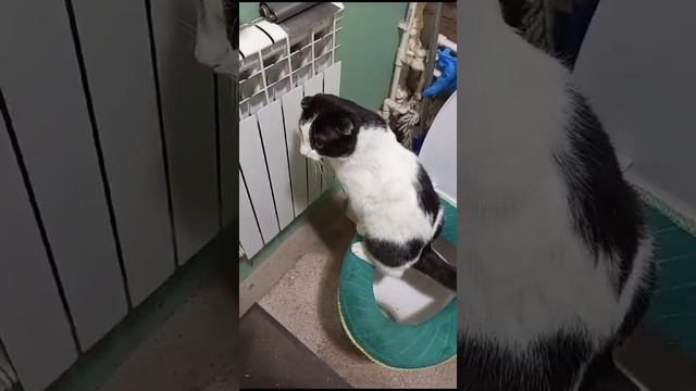 1000076481.mp4