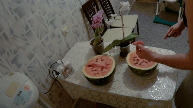 Арбуз и Образовательный Процесс