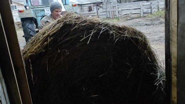 у нас праздник??? три в одном???