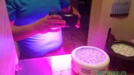 Сравнение Ледов LED UFO