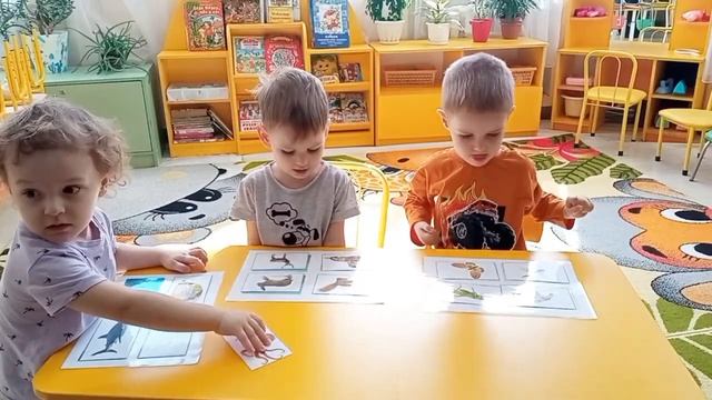 Павловский тракт (младшая группа). Сенсорные игры