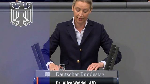 Alice Weidel feurige REDE . Bundestag 31 01 2024