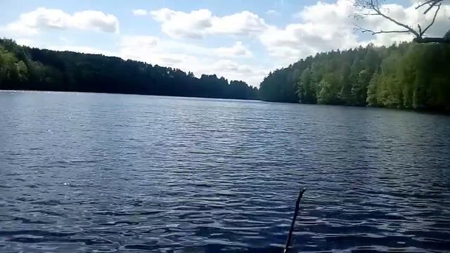 БЕШЕНЫЙ КЛЁВ РЫБЫ ВЕСНОЙ НА ПОПЛАВОК