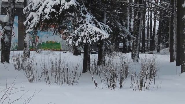 Разминка у взрослых. Мой родной любимый Вельский край.