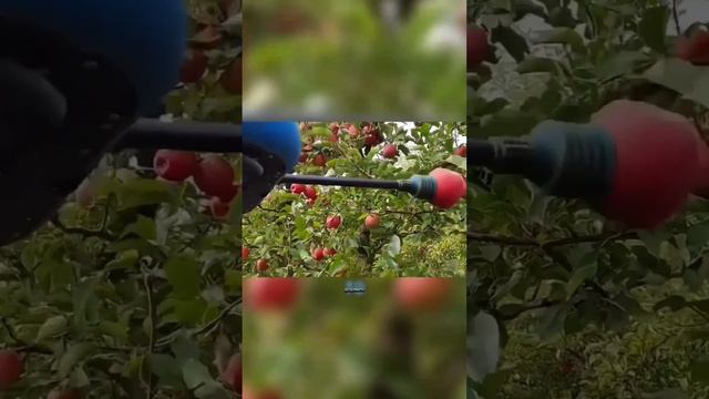 Умные дроны для сборки урожая