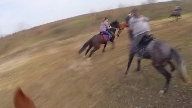 Черемхово, круг, резвая, 01.05.2024