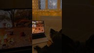 Настроение - уют️️
