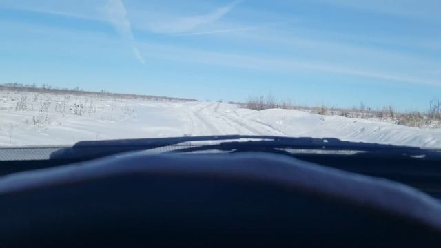 Покупка  смеси для наливного пола/поездка к Ириной маме .