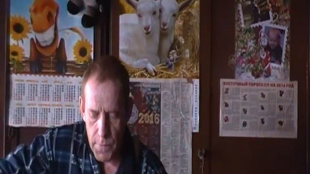 009 песня Про сотоварищей, партнёров и друзей в кавычках.
