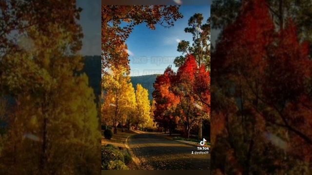 Музыкальная открытка