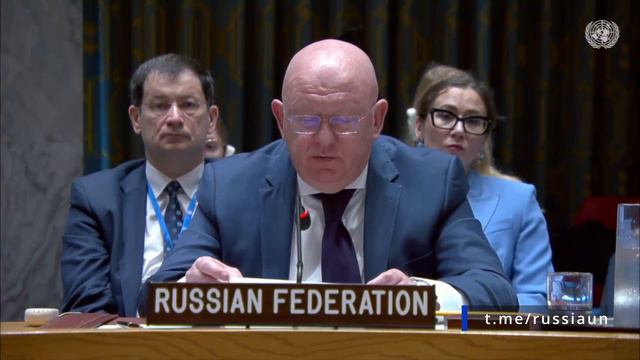 В А Небензя: Запад создал из Украины подопытную морскую свинку - Совет  Безопасности ООН 20.05.2024