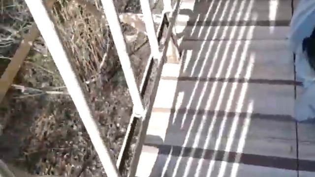 ВОДУ ДАЛИ  ПОГОДА  ЗАВТРАК