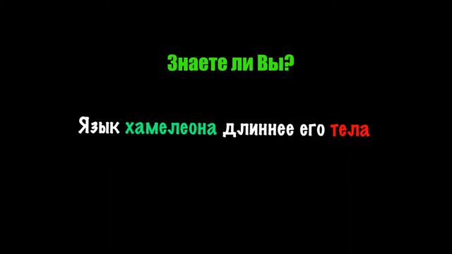 Знаете ли Вы? #50
