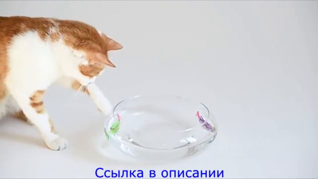 Водоплавающая интерактивная игрушка для кошек с Алиэкспресс.
