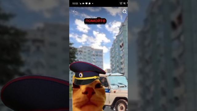 милиция и скорая