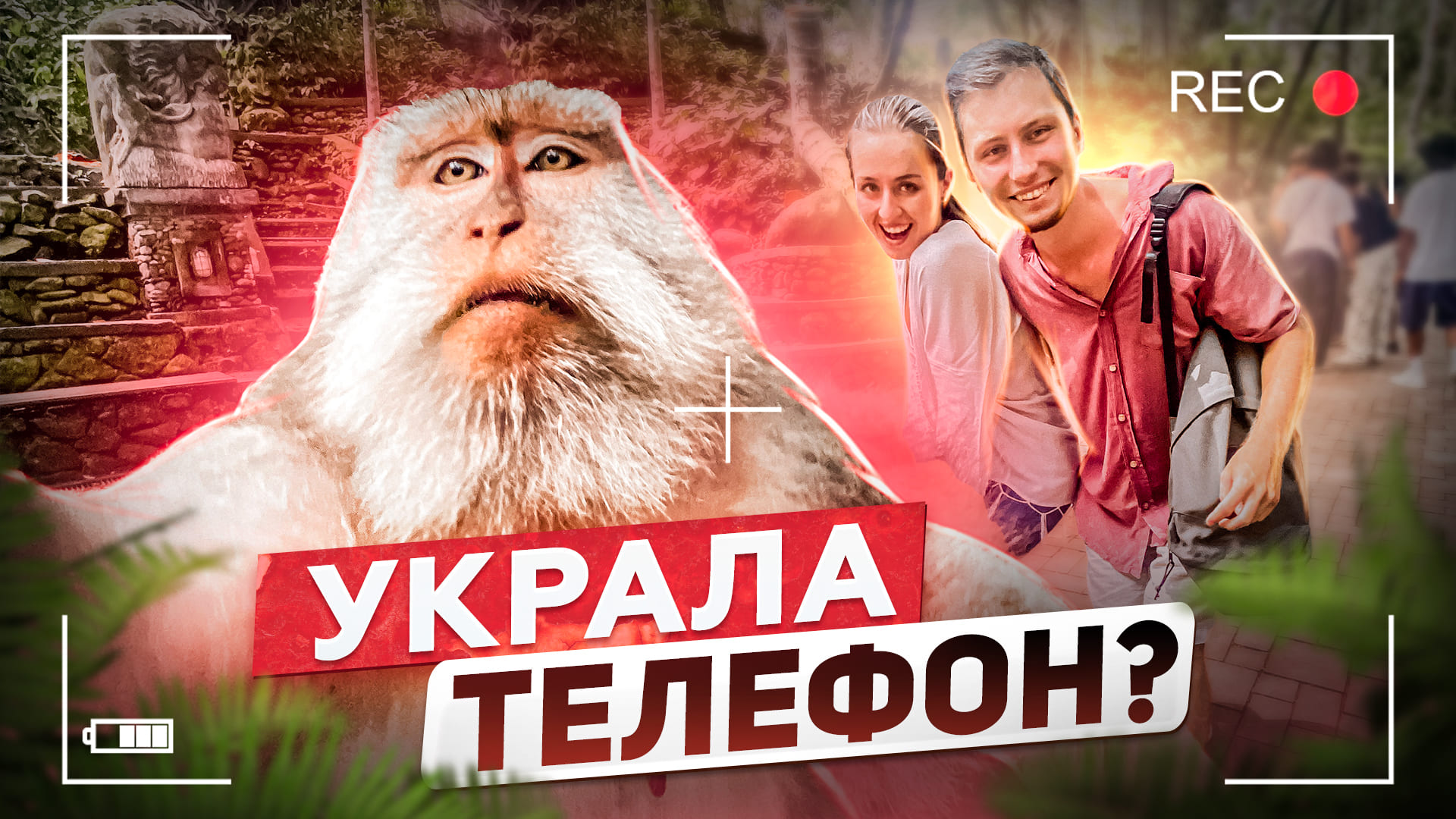 Куда Сходить на Бали? Обезьяна украла телефон