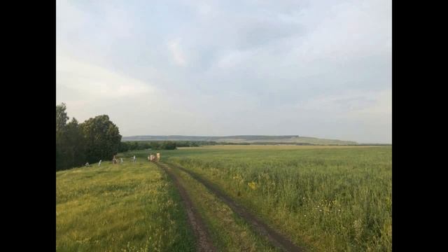 САХАДЖА ЙОГАМ ч1 автор Ю.Шестаков