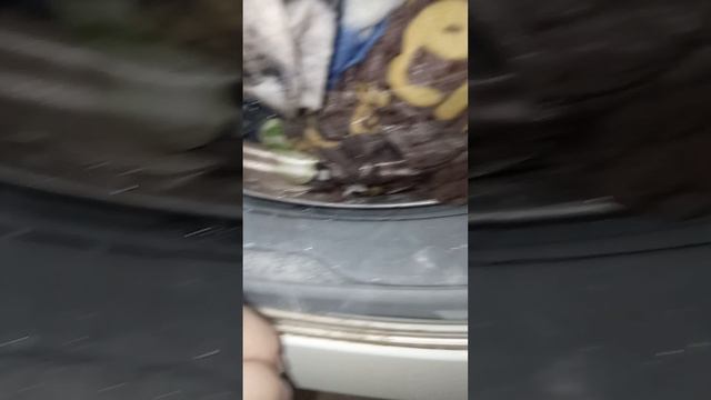 1000000345.mp4