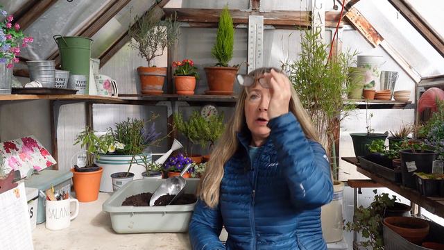 13 White Annual Flowers to easily Grow from Seed!